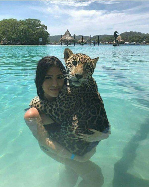 Funny Animals (58 pics)