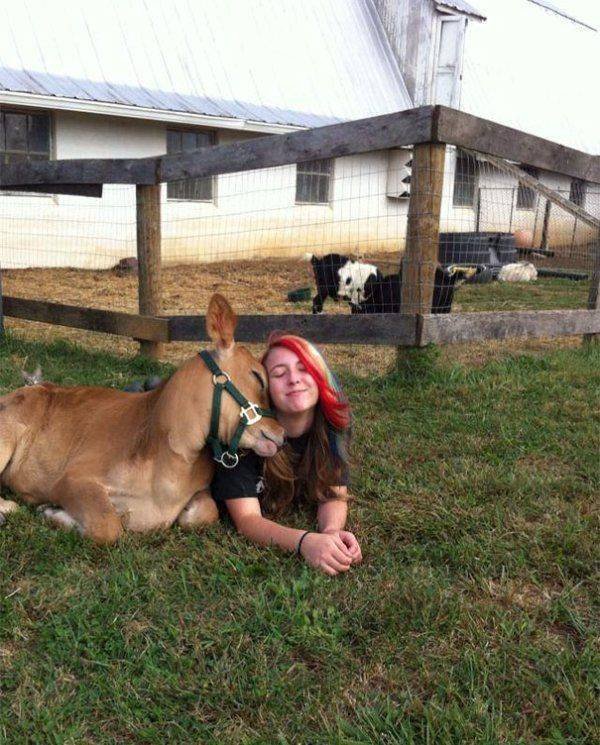 Funny Animals (58 pics)