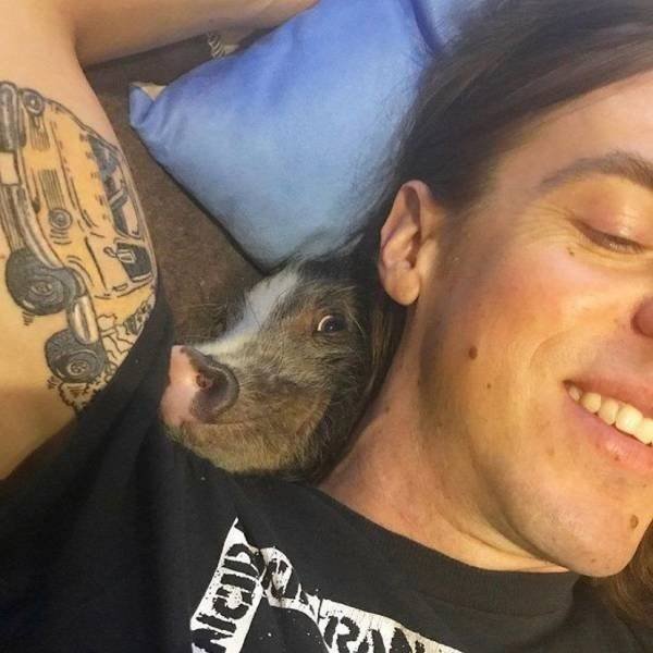Funny Animals (58 pics)