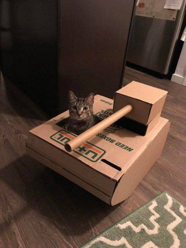 Funny Animals (58 pics)