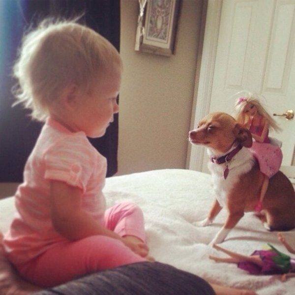 Funny Animals (58 pics)