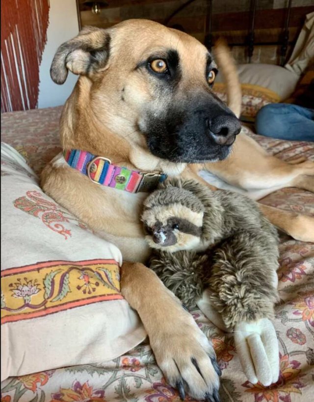 Unusual Finds (33 pics)
