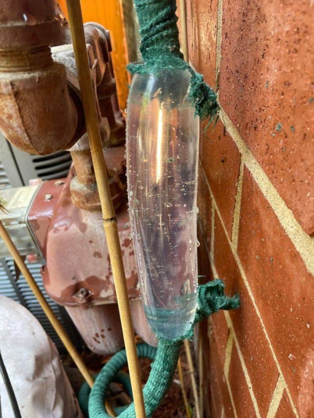 Unusual Finds (18 pics)