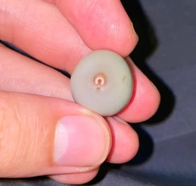 Interesting Finds (36 pics)