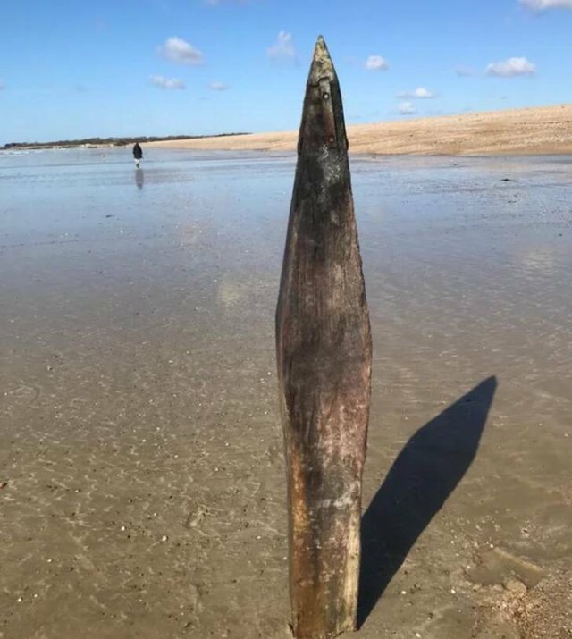 Interesting Finds (36 pics)