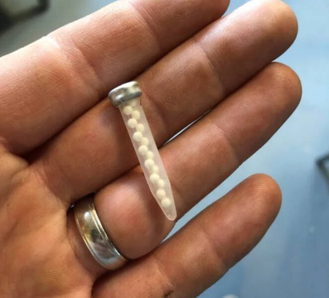 Interesting Finds (36 pics)