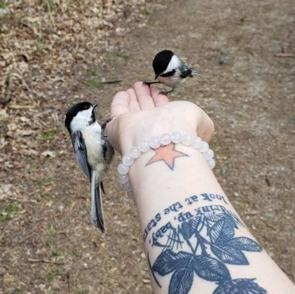 Lucky Days (22 pics)