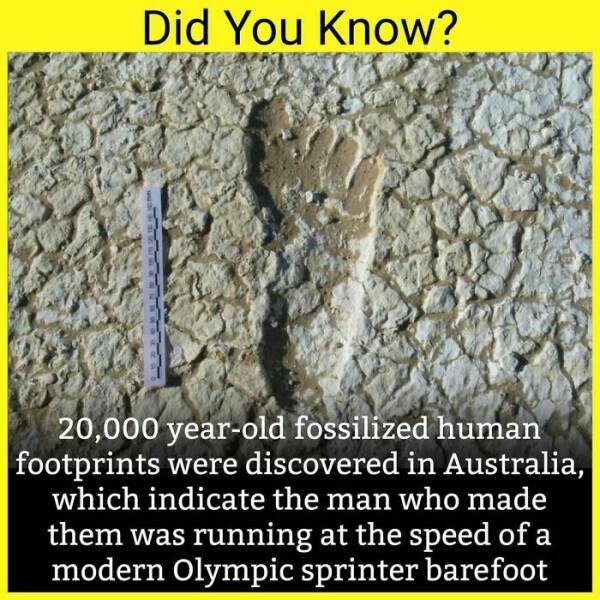 Random Facts (36 pics)