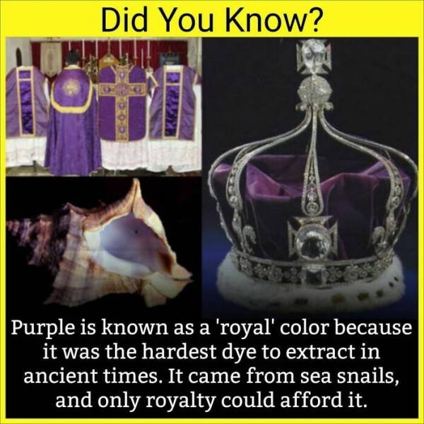 Random Facts (36 pics)