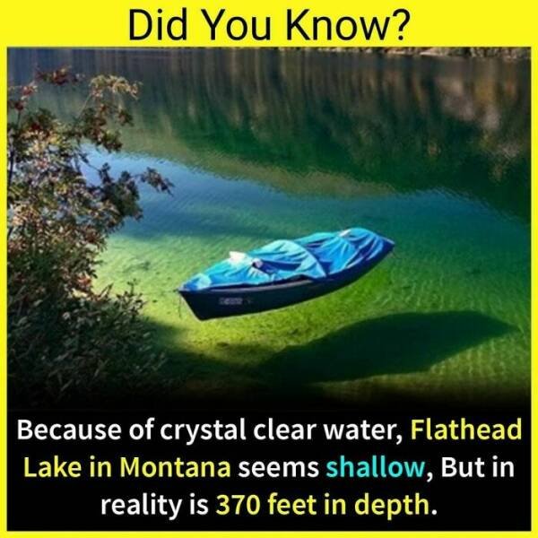 Random Facts (36 pics)