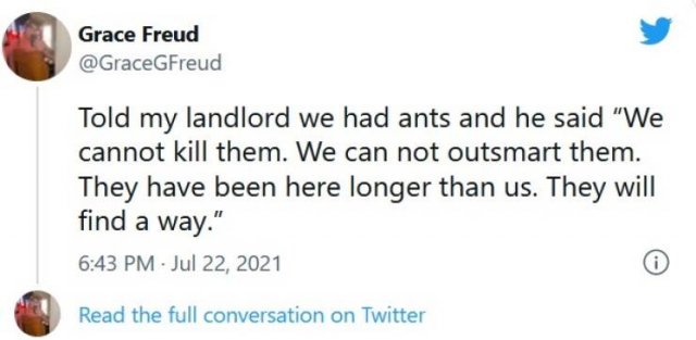 Toxic Landlords (31 pics)