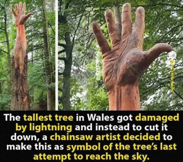 Very Big Things (44 pics)