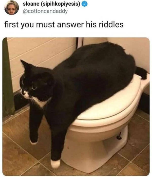 Funny Memes (44 pics)