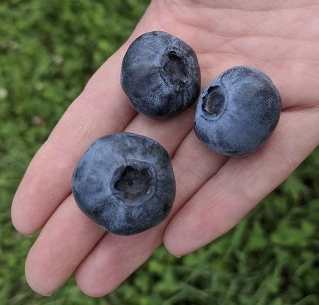 Awesome Finds (47 pics)