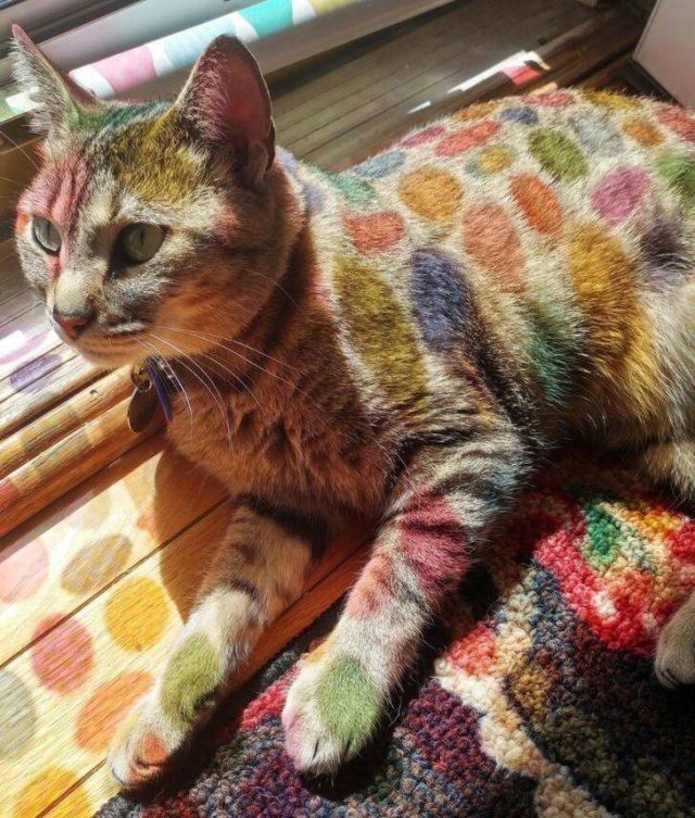 Awesome Finds (48 pics)