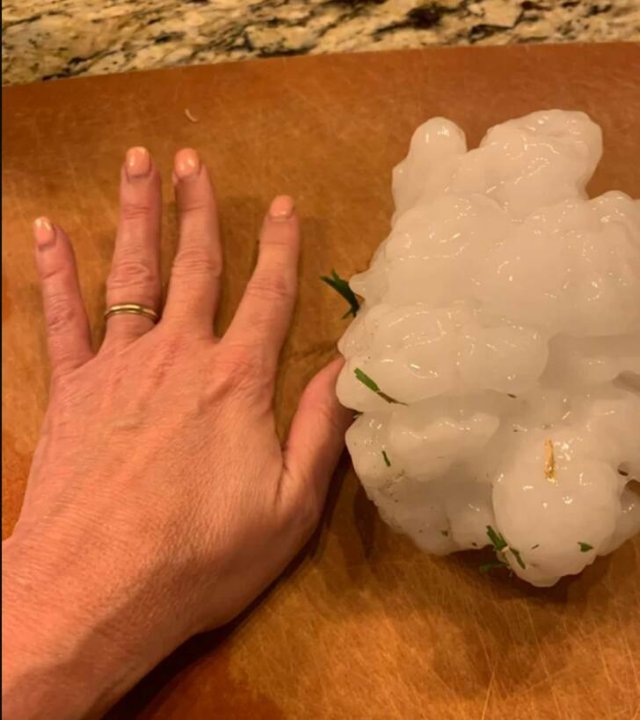 Awesome Finds (48 pics)