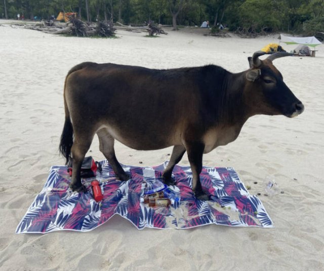 Bad Days Happen (43 pics)