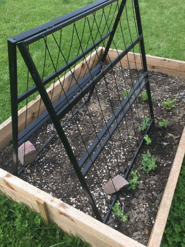 Effective Savings (21 pics)