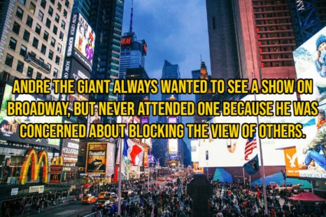Random Facts (29 pics)