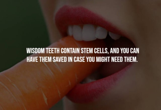 Random Facts (29 pics)