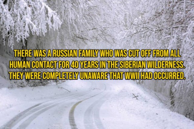 Random Facts (29 pics)