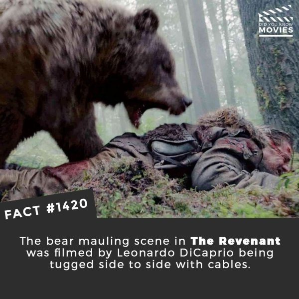 Interesting Movies Facts (35 pics)