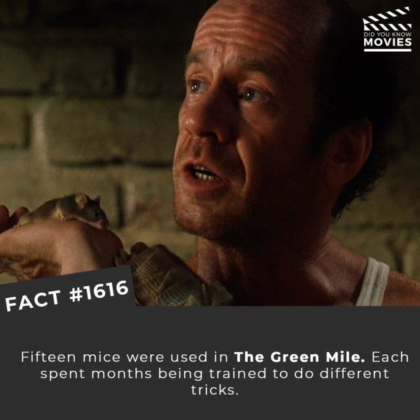 Interesting Movies Facts (35 pics)
