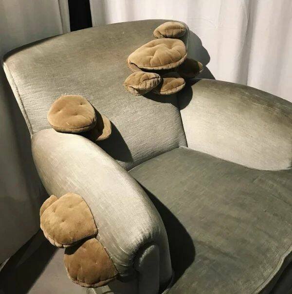 Weird Chairs (30 pics)
