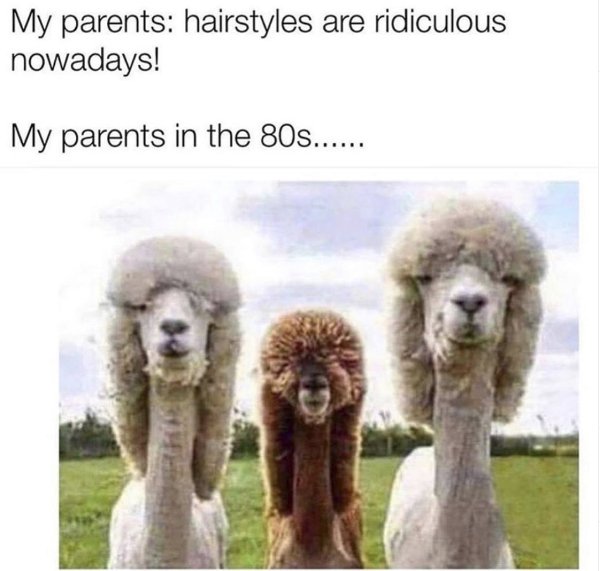 Adulthood Memes (28 pics)