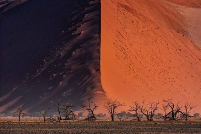 Very Big Things (40 pics)