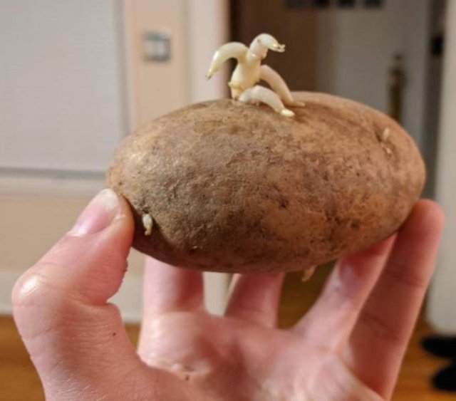 Look Twice (29 pics)
