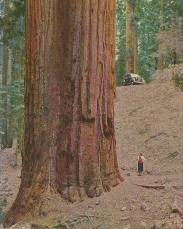 Very Big Things (40 pics)