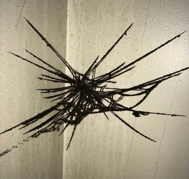 Creepy Photos (44 pics)