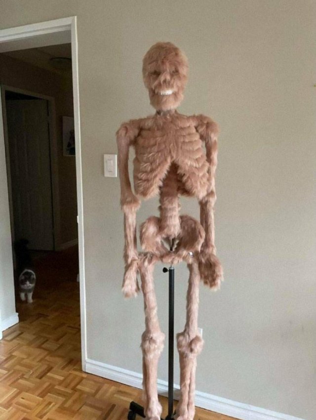 Weird Designs (36 pics)