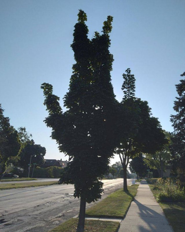Look Twice (29 pics)