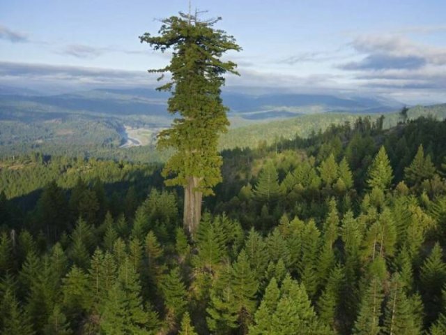 Very Big Things (40 pics)