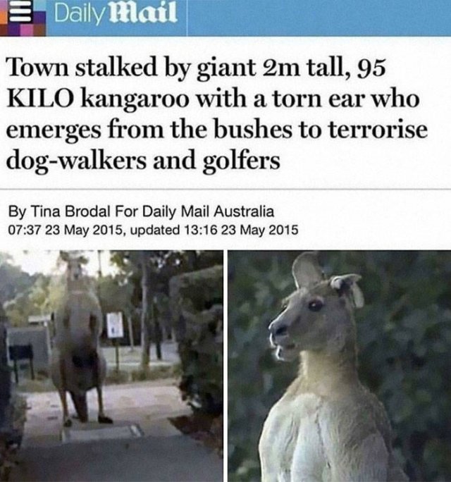 Very Big Things (40 pics)