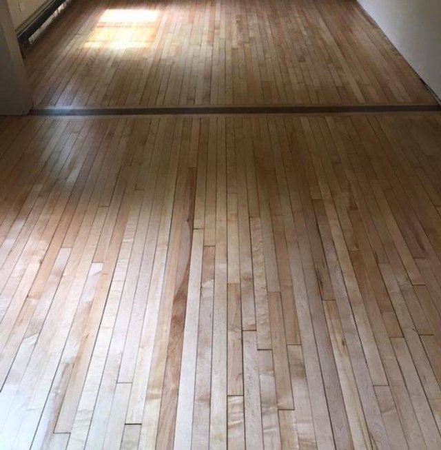 Unexpected Finds In Houses (19 pics)