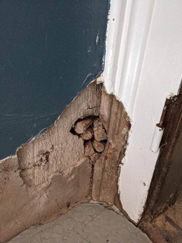 Unexpected Finds In Houses (19 pics)