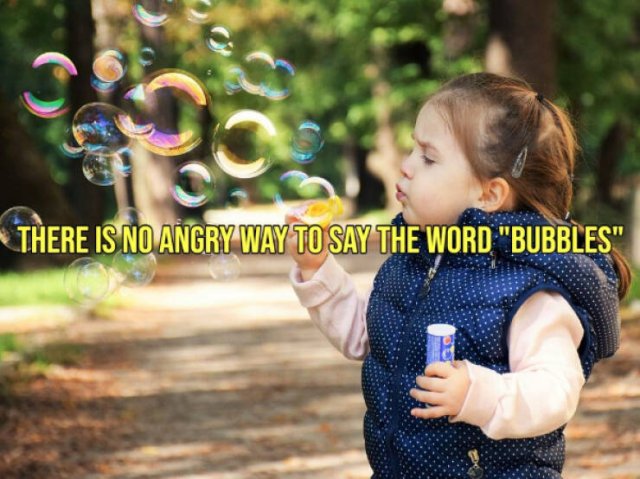 Random Facts (15 pics)