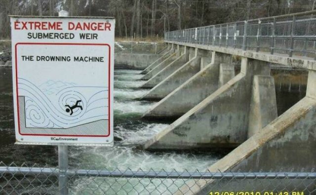 Odd Signs (42 pics)