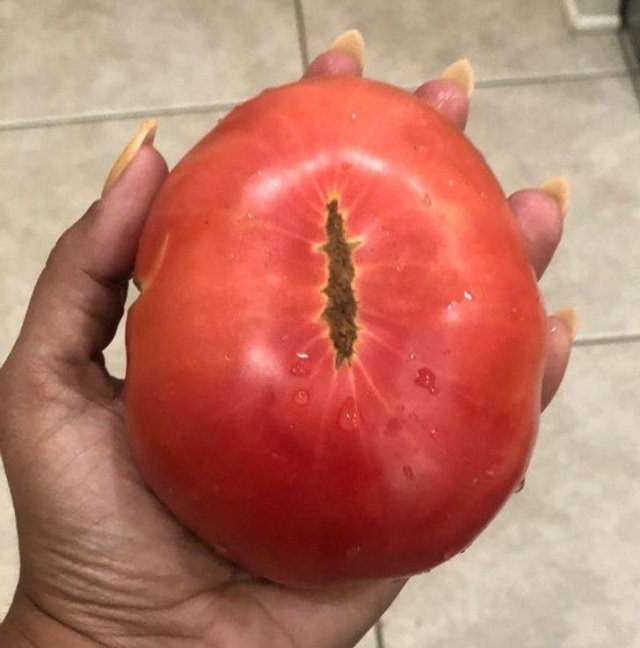 Unexpected Coincidences (35 pics) Unexpected Coincidences (35 pics)