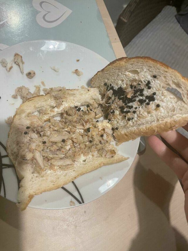 Weird And Funny Food (40 pics) Weird And Funny Food (40 pics)