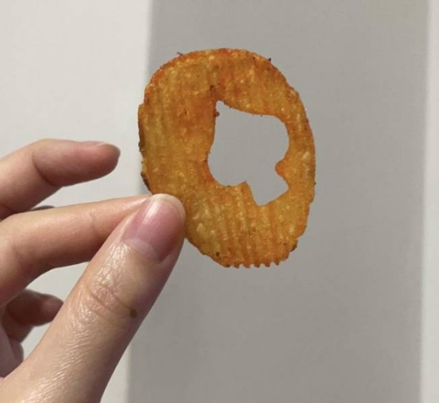 Interesting Finds (18 pics)