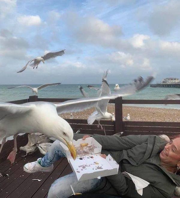 Right Moment (28 pics)