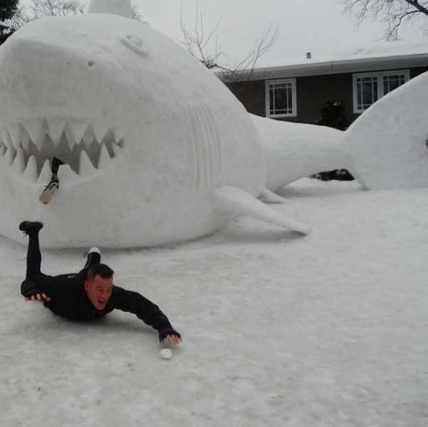 Funny Pictures (30 pics)