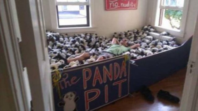Funny Pictures (30 pics)