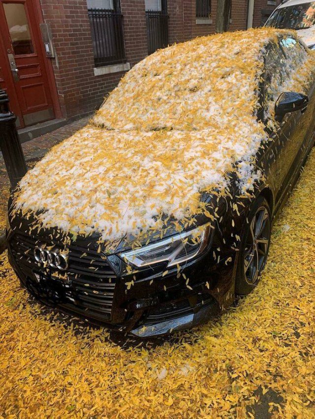 Bad Days Happen (48 pics)