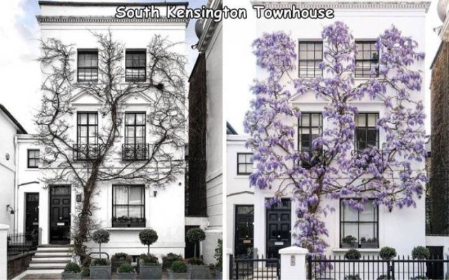 Fantastic Designs (40 pics)