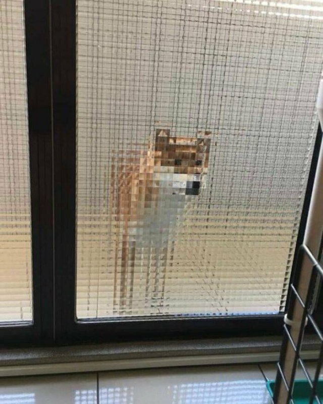 Interesting Finds And Illusions (49 pics)